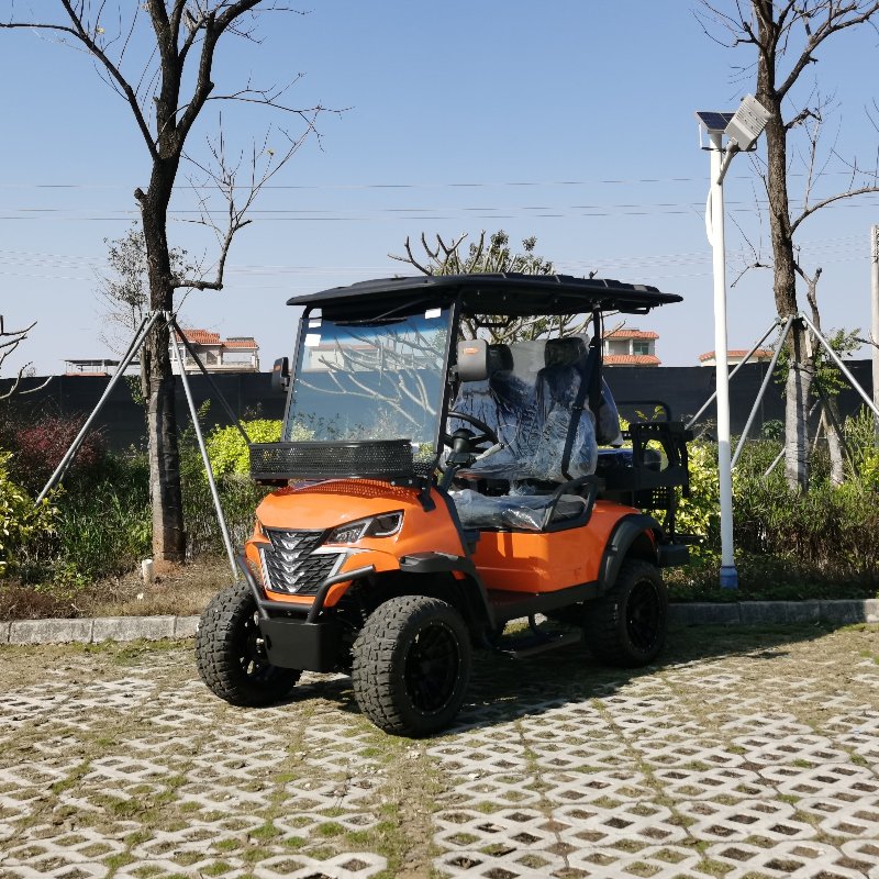 2+2 sedeža električno lovsko vozilo z litijevo baterijo