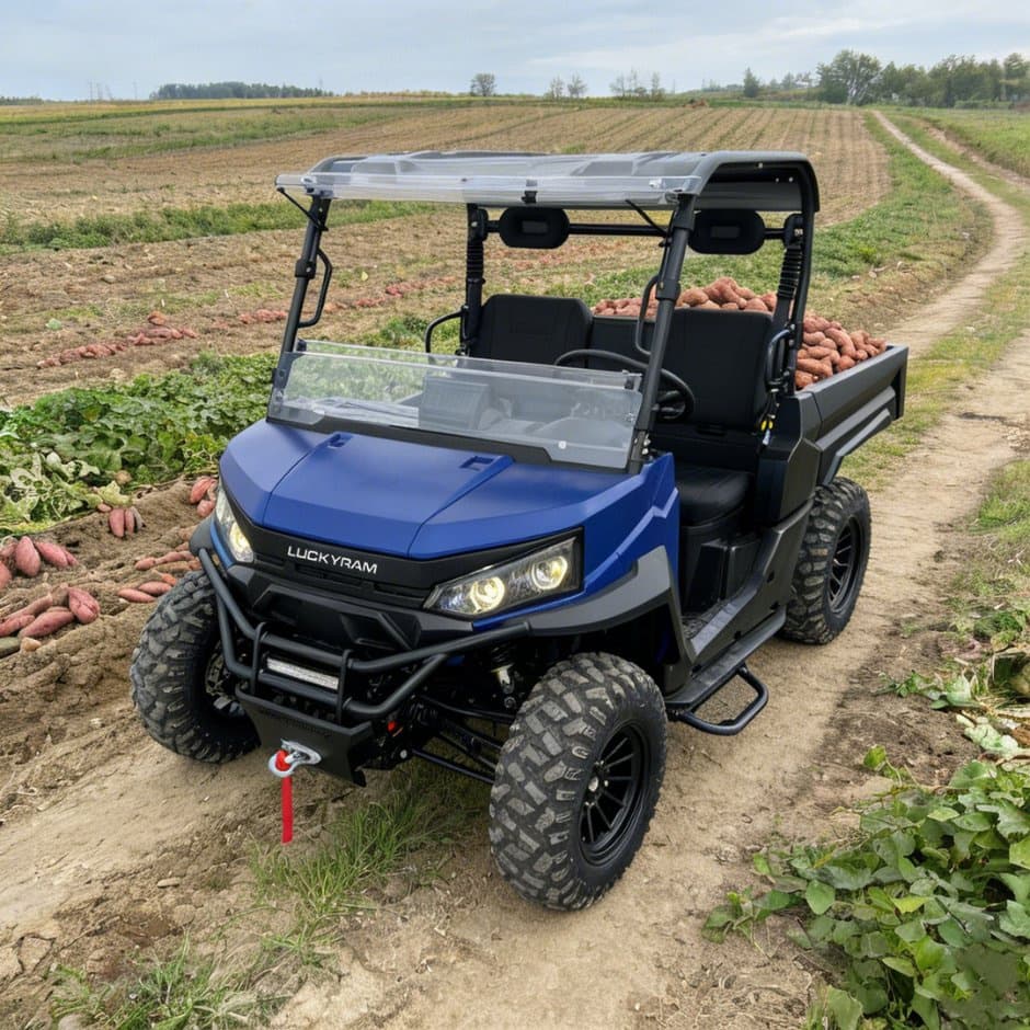 73,6 V 4WD UTV 10kw AC motor EPS krmiljenje 150ah baterija