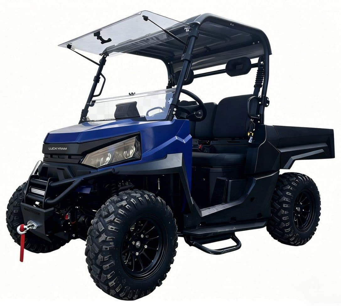 73,6 V električni UTV 10 KW motor na izmenični tok 80–100 km dosega za vzdrževanje lastnine