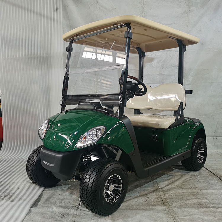 Zmogljiv 2-sedežni električni golf voziček, opremljen z litijevo baterijo